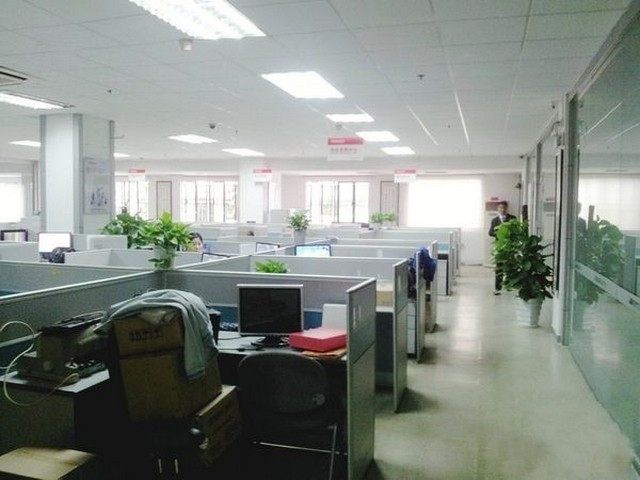 别墅绿植特色服务